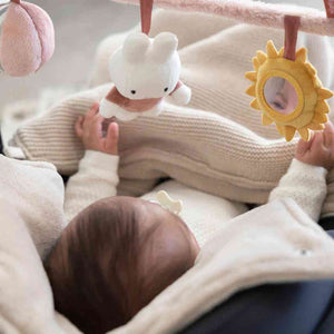 Miffy Car Seat Toy - Fluffy Pink - Little Dutch