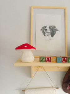 Mushroom Toadstool Money Box - Egmont Toys