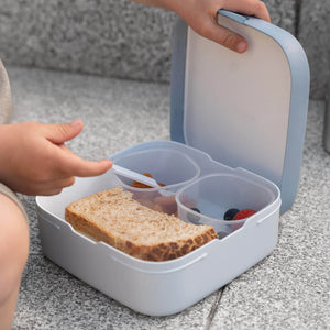 Bento Lunchbox - Forest Friends - Little Dutch